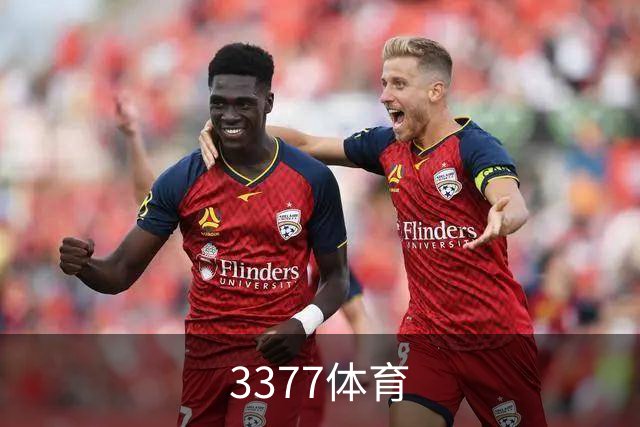 关于3377体育